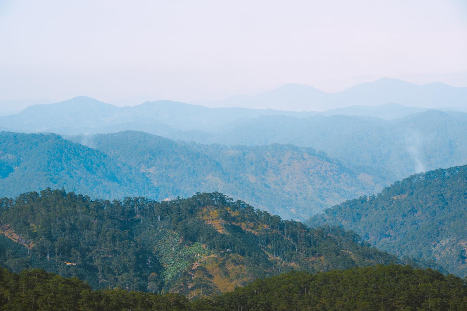 Mountain Mist