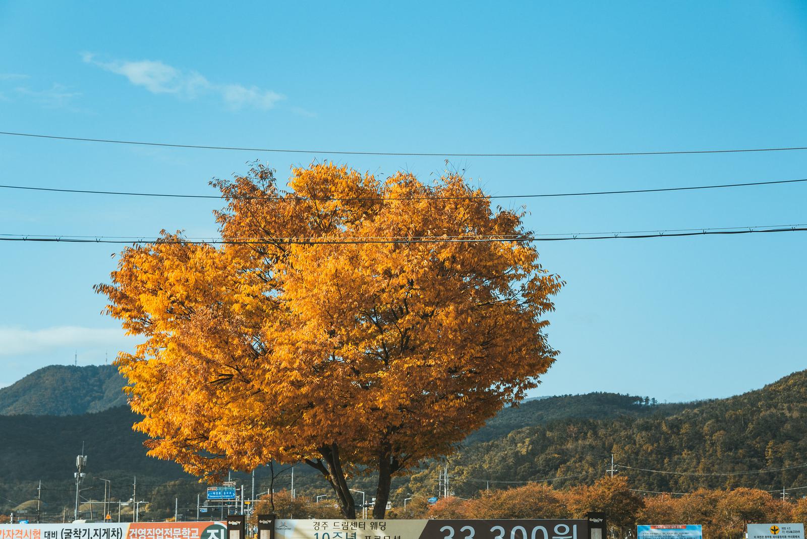 First Sight of Gyeongju