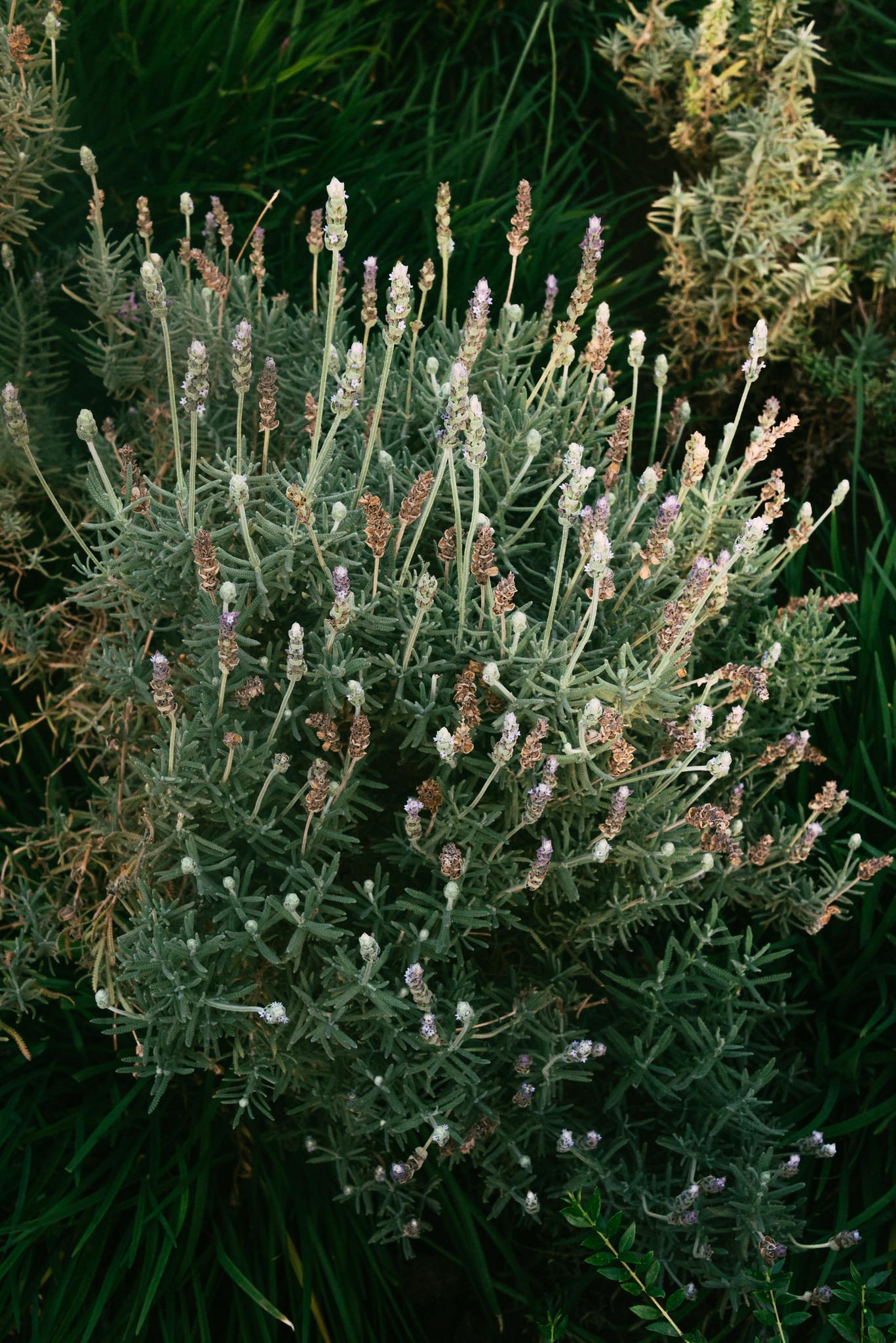 Cool Retreat Corners