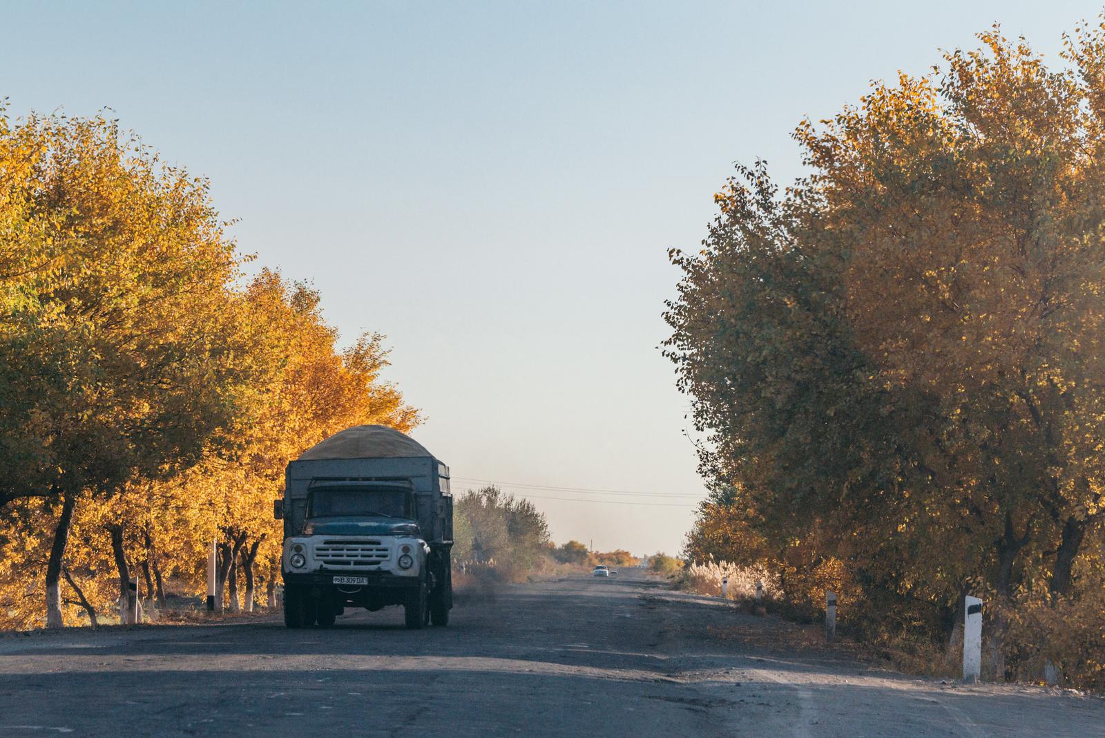 Autumn on the Roads of Karakalpak