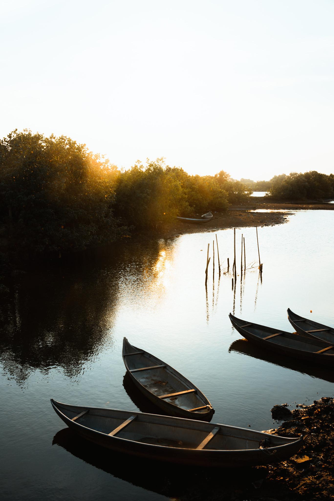 Nghệ thuật sắp đặt