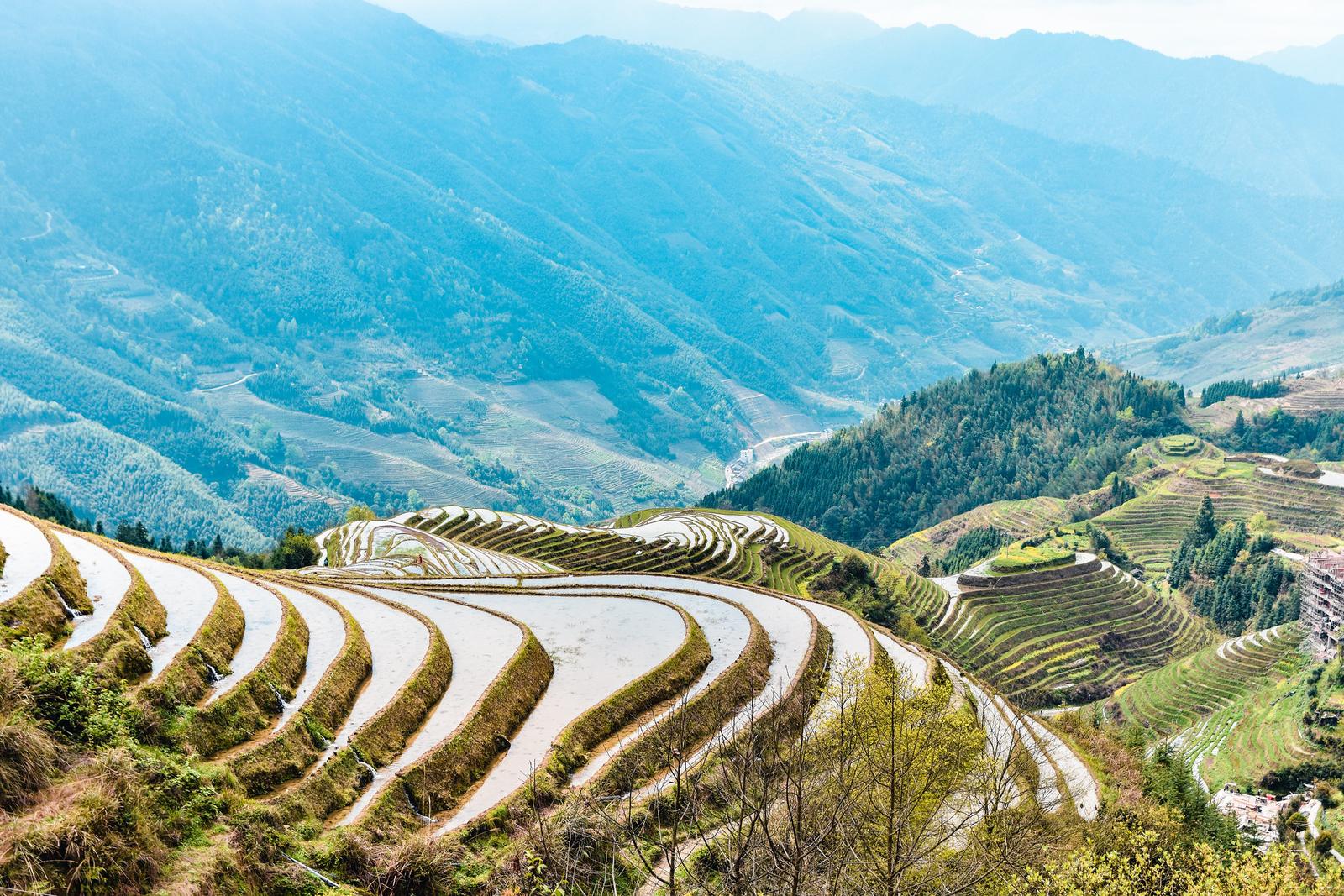 Ruộng bậc thang Long Thắng