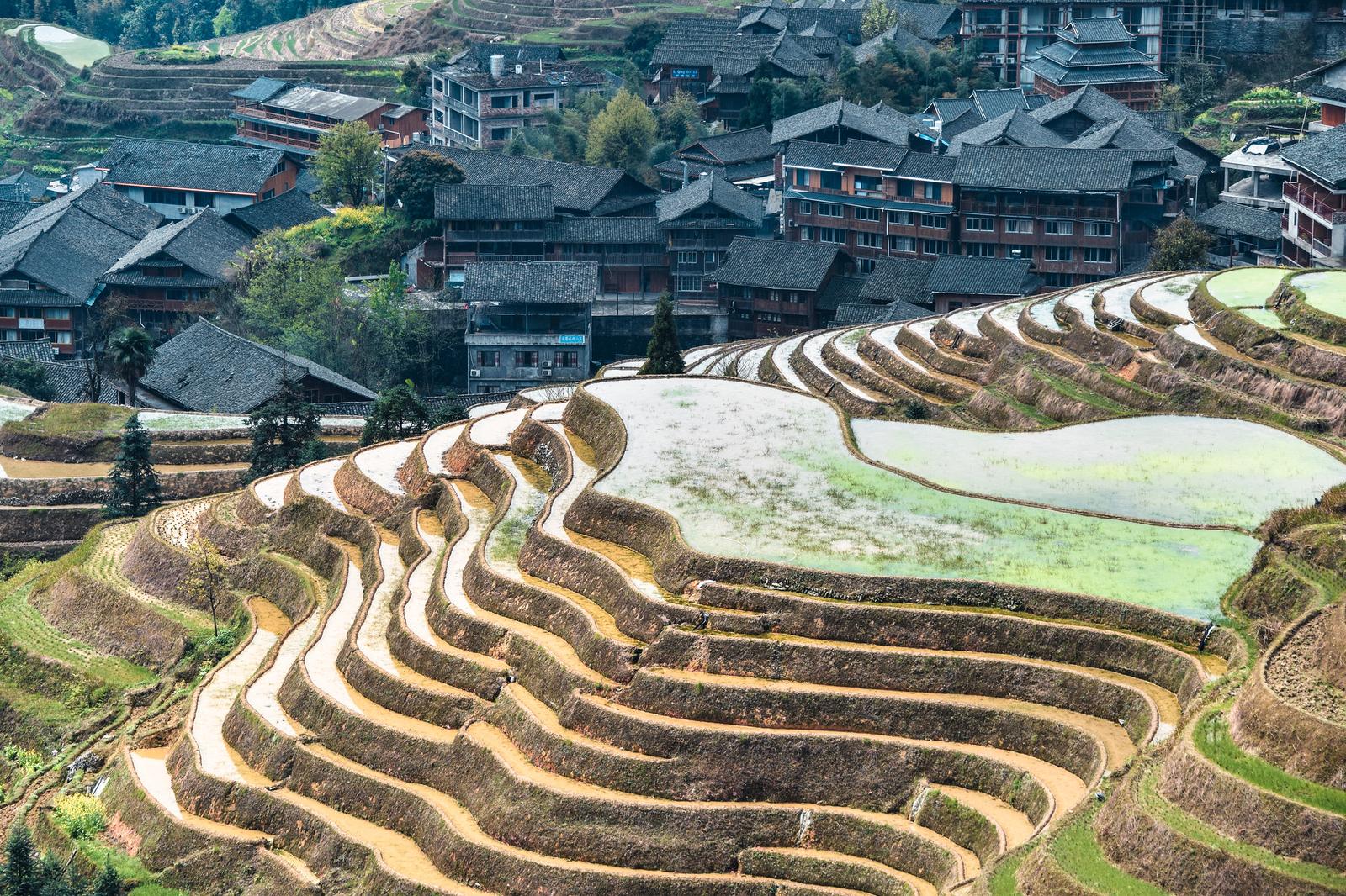 Longsheng Rice Terraces