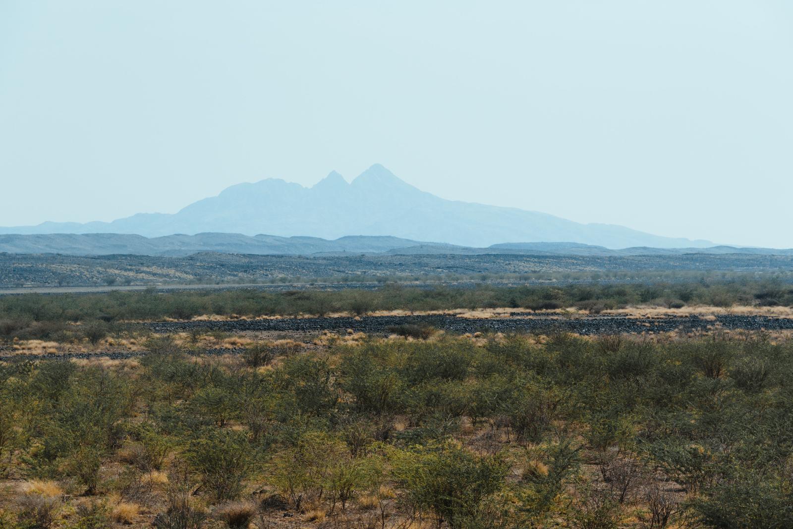 The Road Trip Landscapes