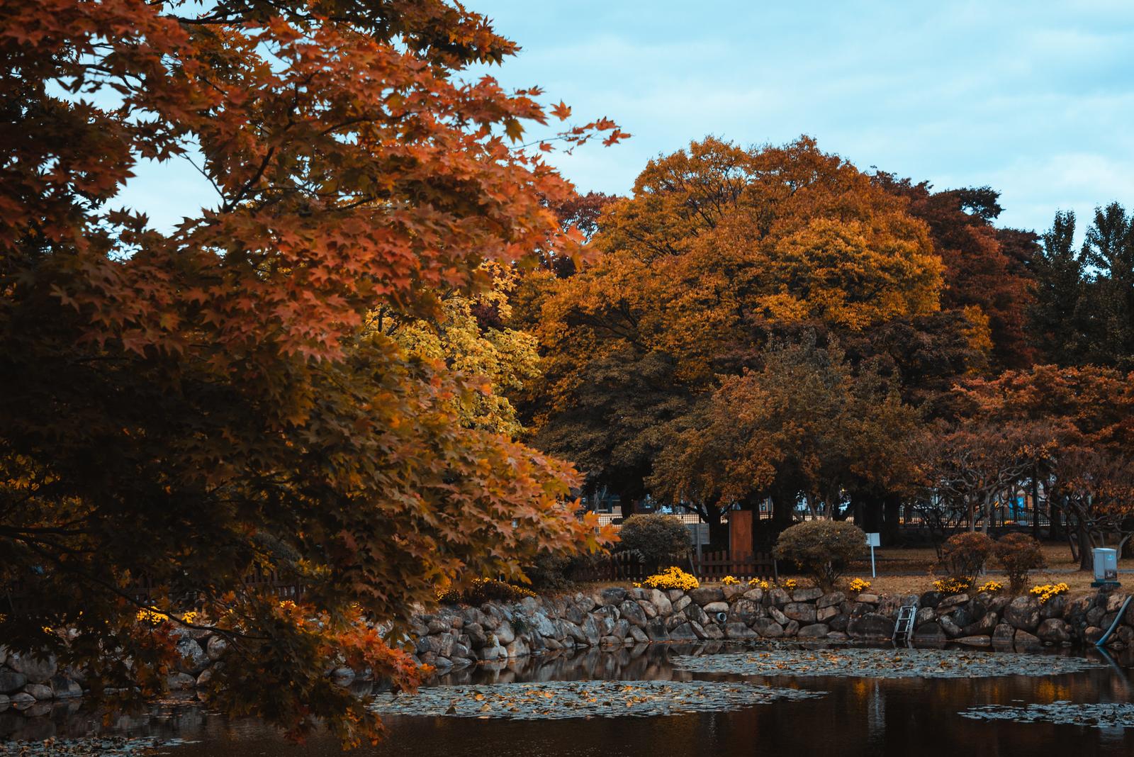 Daereungwon's Pond