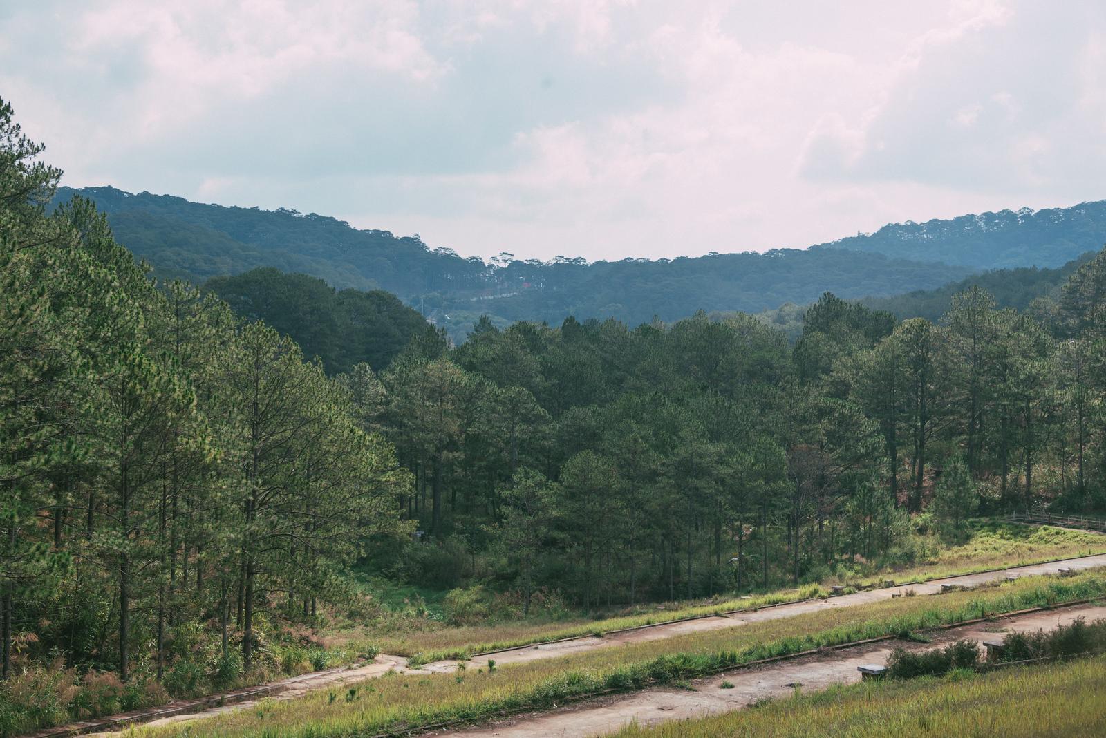 Scenery near Hoa Cam Tu Cau Street