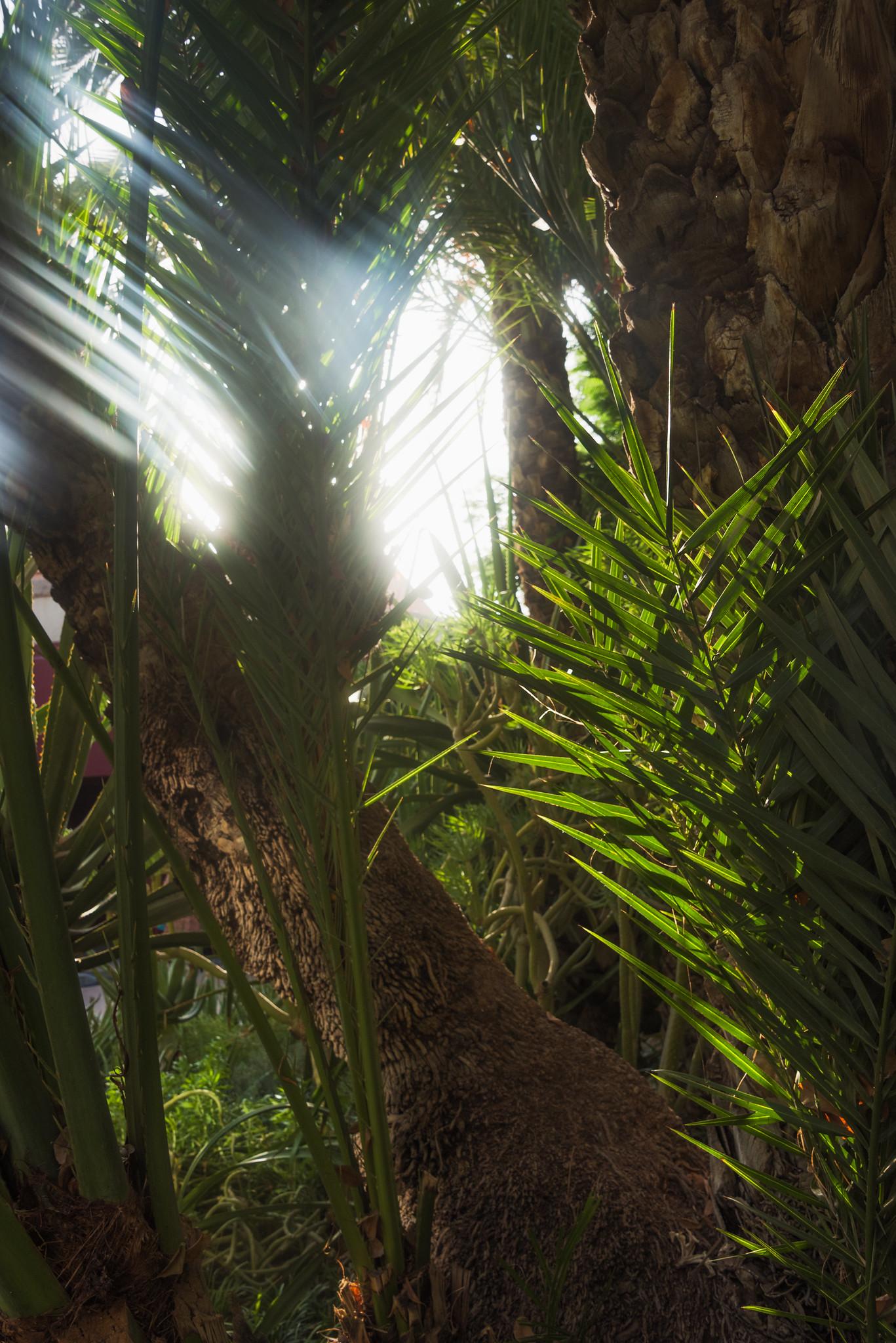 Cool Retreat Corners