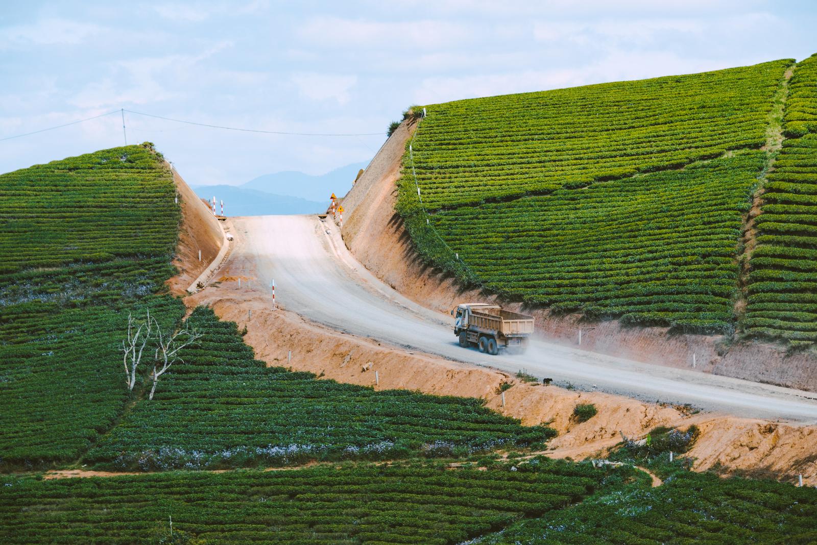 Lạc lối ở Cầu Đất