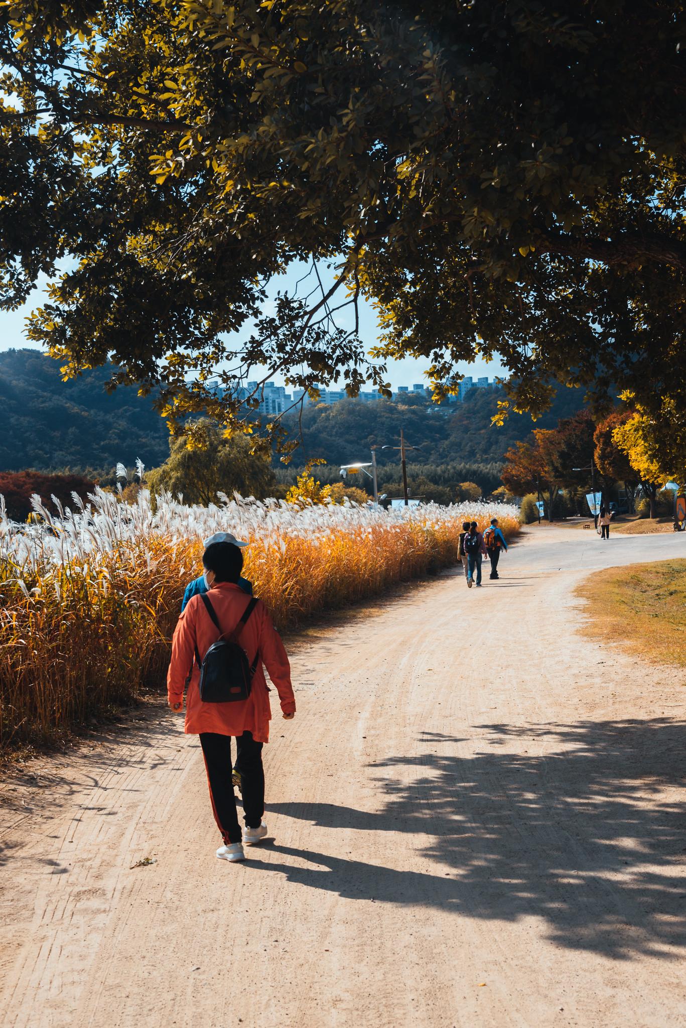 Human at Taehwagang