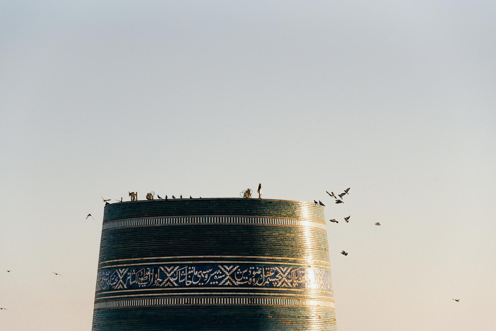 Những con chim đậu trên đỉnh tháp