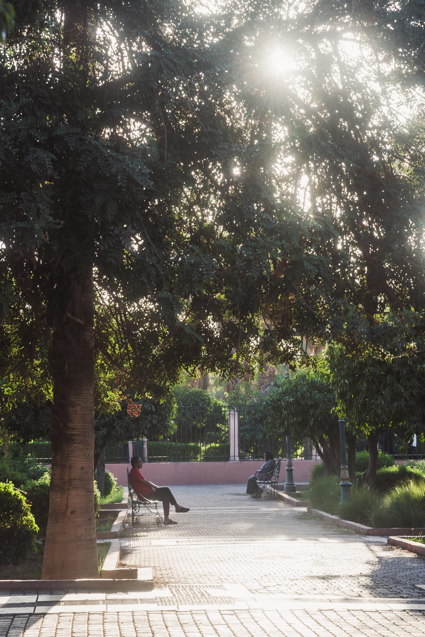 Afternoon in the Park