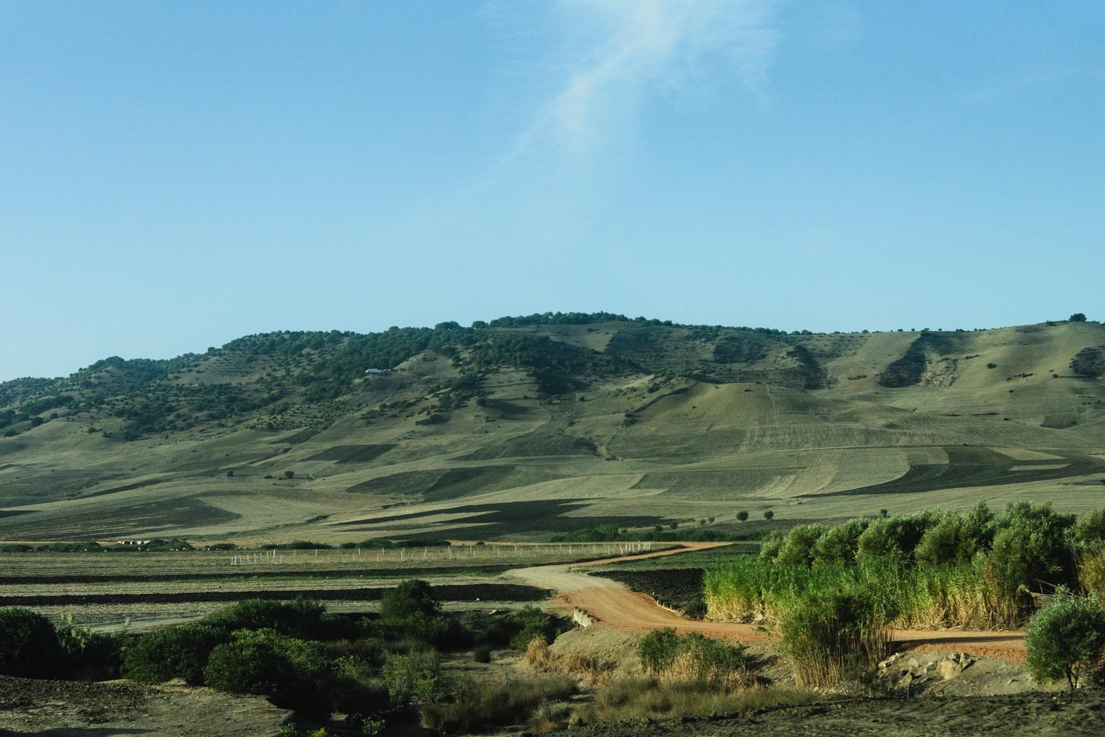 Green-covered Hills