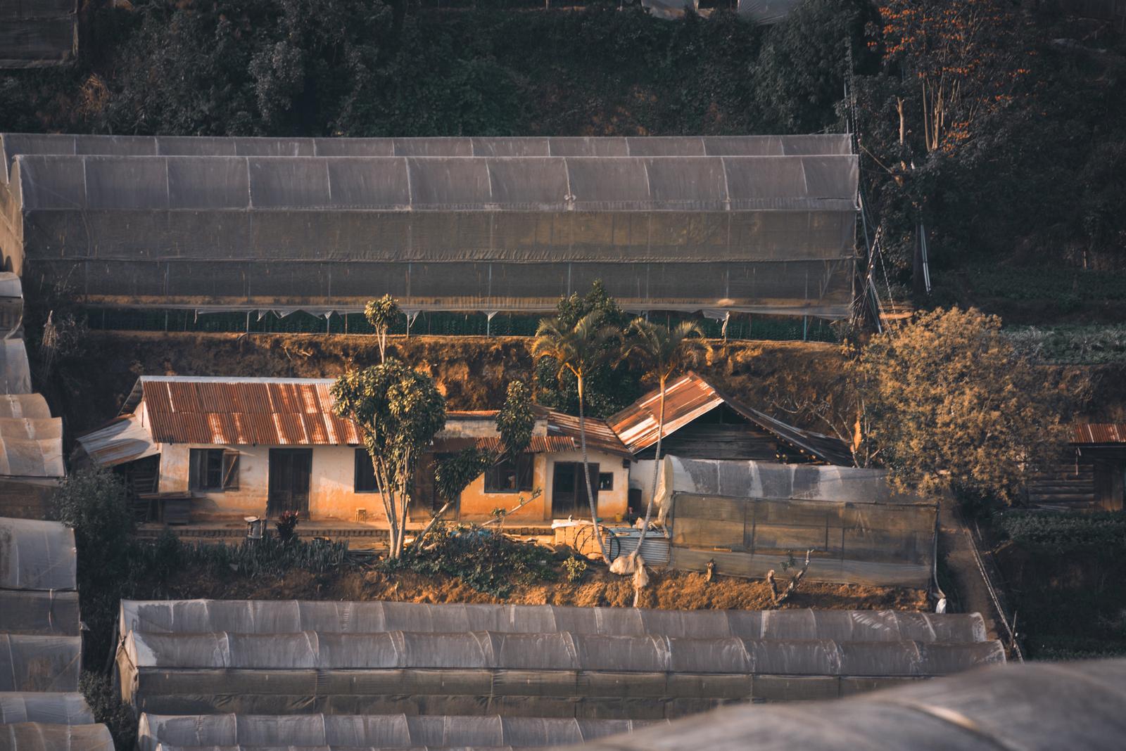 A Hut on the Hill Filled with Greenhouse Fields