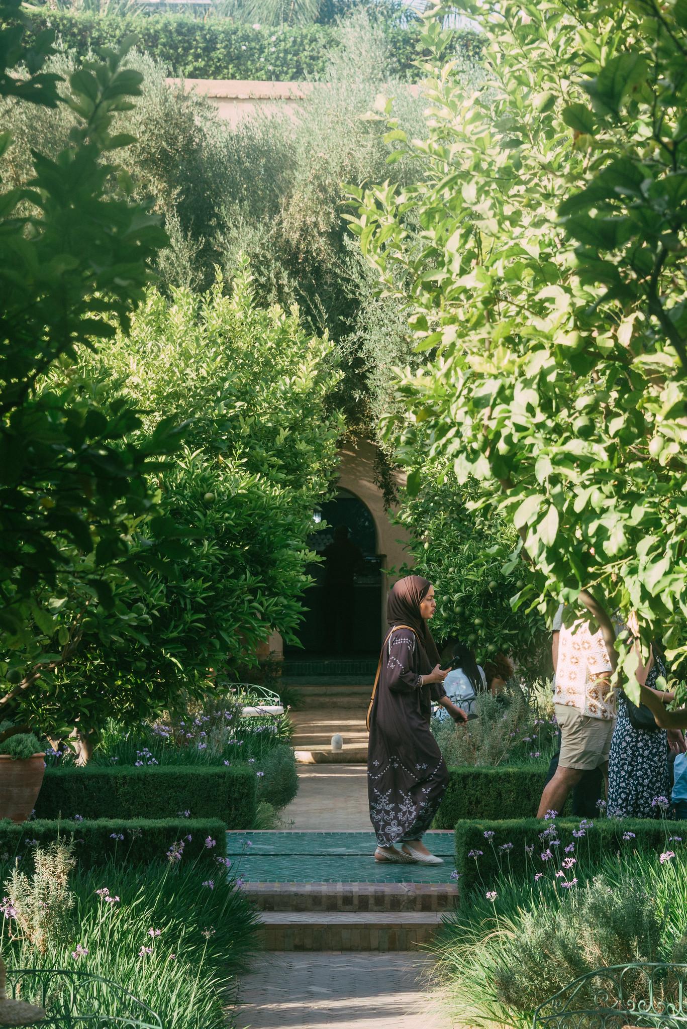 Lost in the Green Oasis