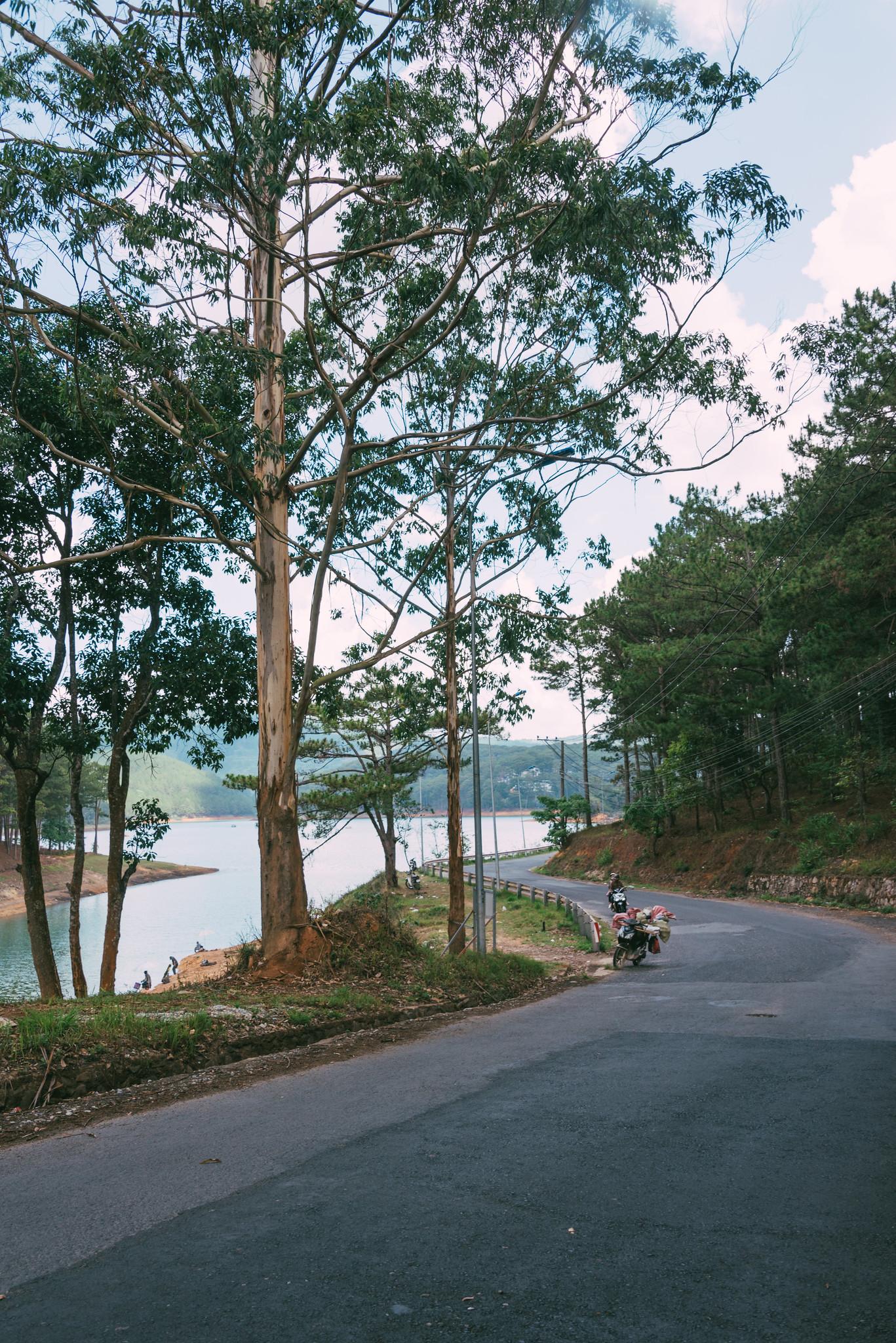 Winding Lakeside Road