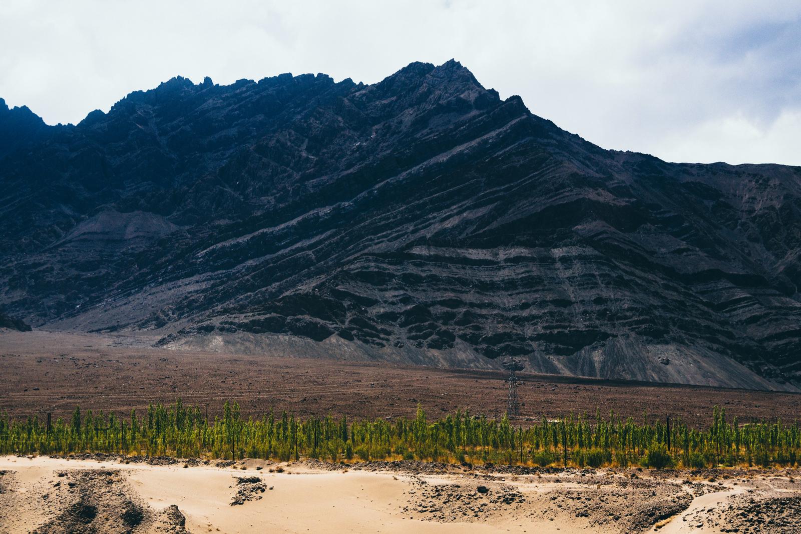 Almost Reaching Leh