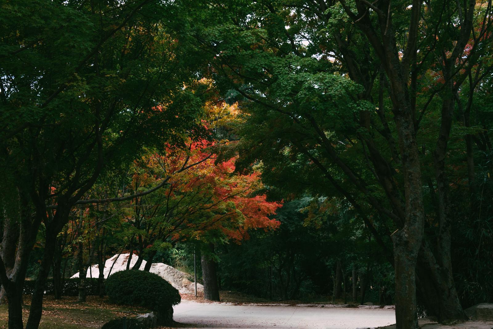 The Way Leading to Bulguksa