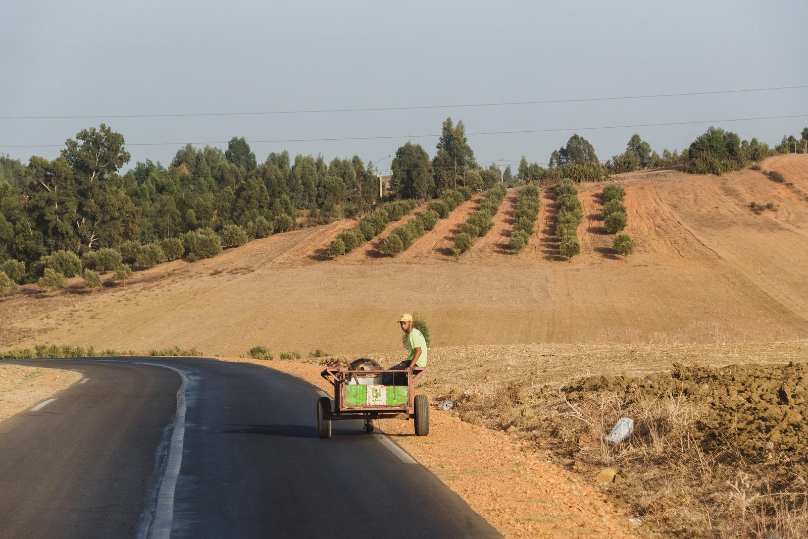 A Person by the Roadside