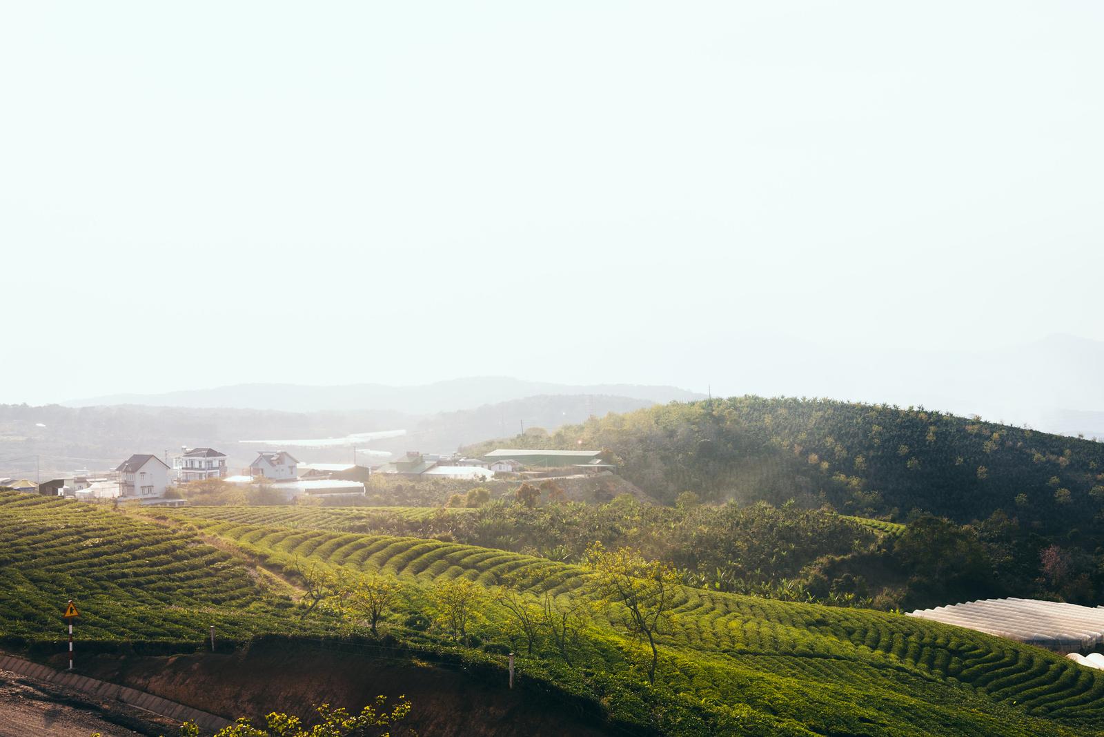 Nắng lan trên đồi