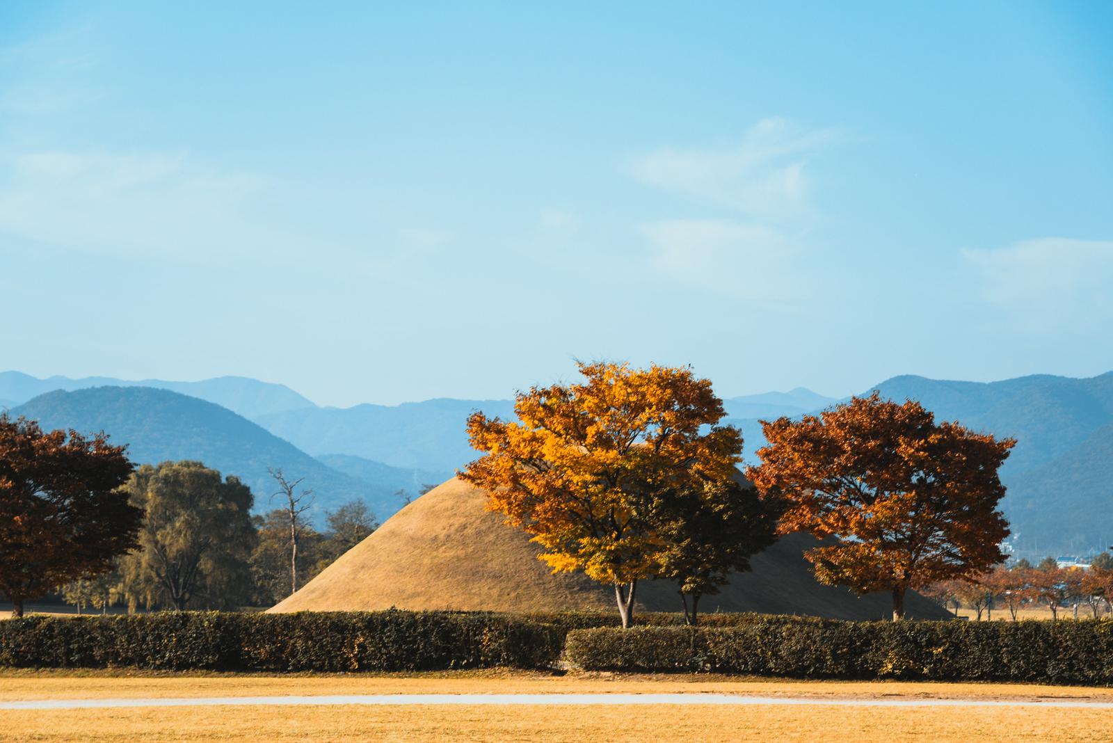 The Curves from Ancient Tombs