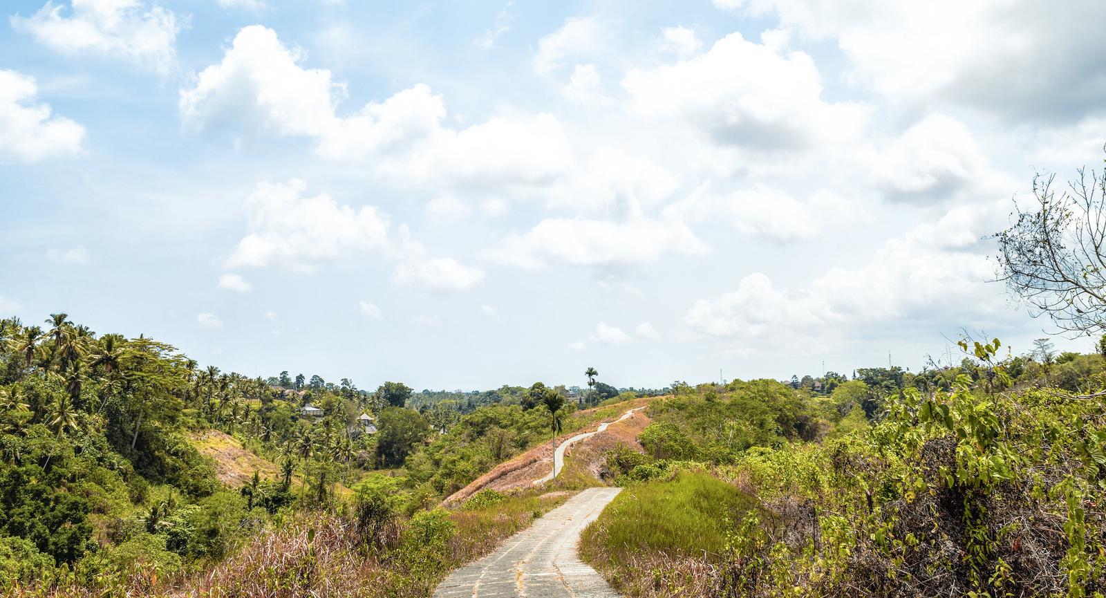 Campuhan Ridge Walk Panorama